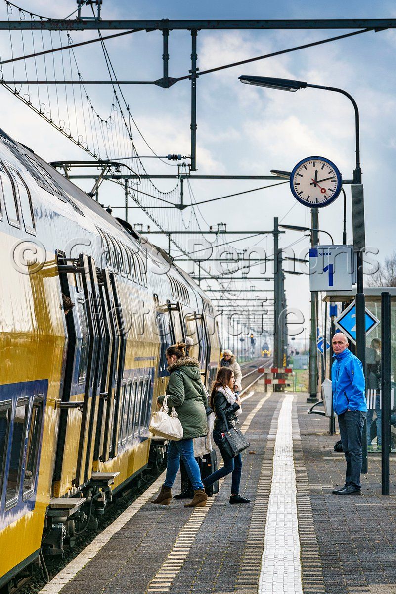 4601092963.jpg